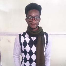 Oluwatosin Ariyo-Freelancer in Lagos,Nigeria