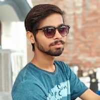 Nitesh Kumar Singh-Freelancer in Raebareli,India