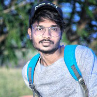 पुण्यकुमार मस्के-Freelancer in Georai,India