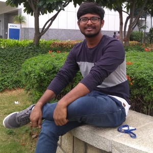 Bali Reddy-Freelancer in Bengaluru,India