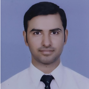 Majid Saifi-Freelancer in GHAZIABAD,India