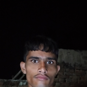 Pratap Singh-Freelancer in Moradabad,India