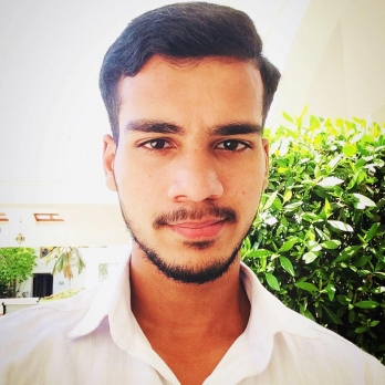 Ammar Zaib-Freelancer in Karachi,Pakistan