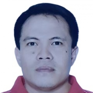 Erwin Mantua-Freelancer in Cebu City,Philippines