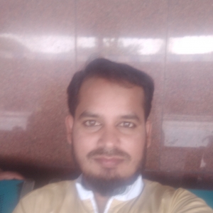 Md. Shamsuddin-Freelancer in ghosi,India