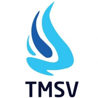 TMSV Consultants-Freelancer in Mumbai,India