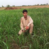 Malik Hamza-Freelancer in Rawalpindi, Pakistan,Pakistan