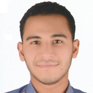 Mahmoud Raafat-Freelancer in ,Egypt