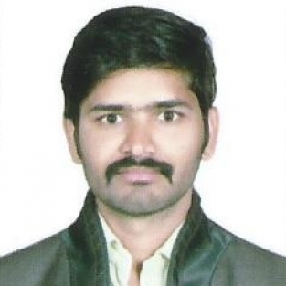 Ramesh Lal Meghwal-Freelancer in udaipur,India