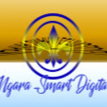 Ngarasmart Digital-Freelancer in Dar Es Salaam,Tanzania