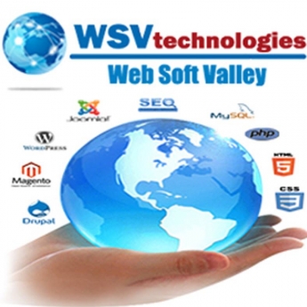Web Soft Valley-Freelancer in Bhopal,India