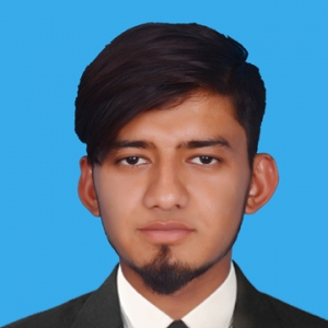 Muhammad Aqib Javed-Freelancer in Dunyapur,Pakistan