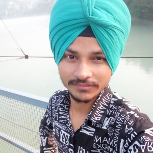 Sarbjeet Singh-Freelancer in Chandigarh,India