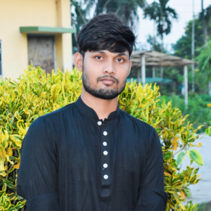 Md Mahbub Hossain-Freelancer in Rajshahi,Bangladesh