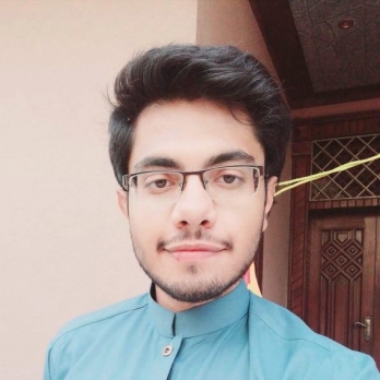Suleman Qamar-Freelancer in Islamabad,Pakistan