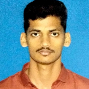 Nithyaranjan Shetty-Freelancer in Cherai,India
