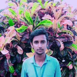Mohmmed Rehman-Freelancer in ,India