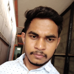 Binod Sahu-Freelancer in Bengaluru,India