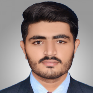 Sajid Mehmood-Freelancer in Multan,Pakistan