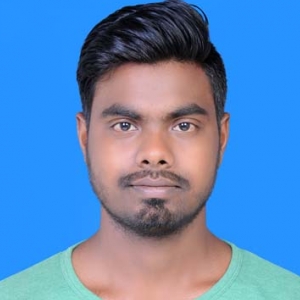 Tarjan Suryawanshi-Freelancer in chhattisgarh,India