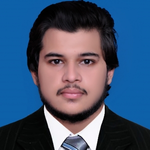Hamid Raza-Freelancer in Jhelum,Pakistan