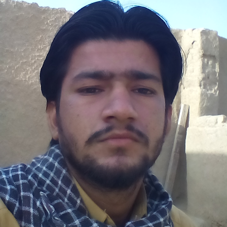 Ali Hyder Turk-Freelancer in Sehwan,Pakistan