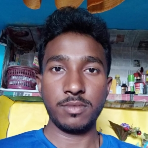 Baidyanath Tudu-Freelancer in Bhatar,India