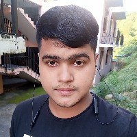 Prince Mahmud-Freelancer in ,India