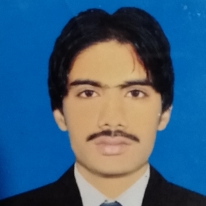 Shahbaz Fareed-Freelancer in Dera ghazi khan,Pakistan