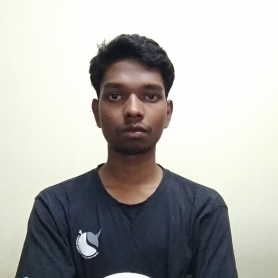 Debasis Mudi-Freelancer in Durgapur,India