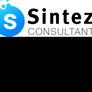 Sintez Consultant-Freelancer in Gurgaon,India