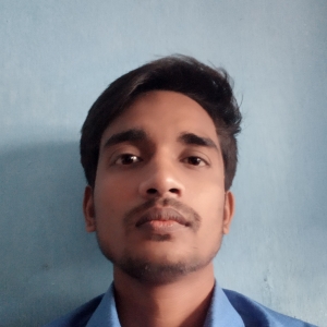 Md Saiful Haque-Freelancer in Kolkata,India