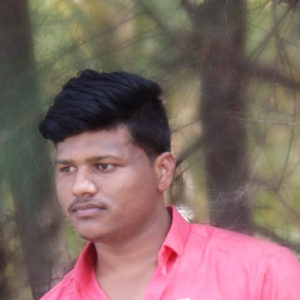 Akshay Ingale-Freelancer in Pune,India