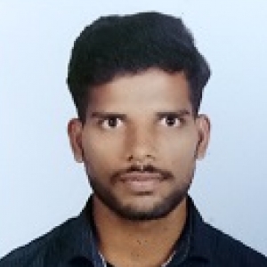 Ramesh Chata-Freelancer in Basar,India