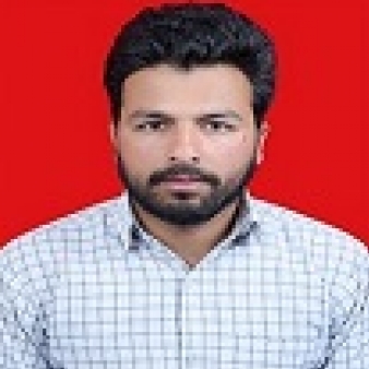 Dheeraj Kumar Joshi-Freelancer in CHAMPAWAT,India