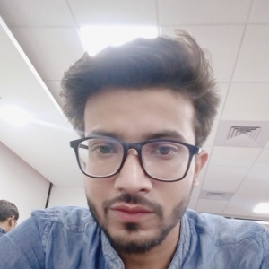 Ankit Mishra-Freelancer in Delhi,India