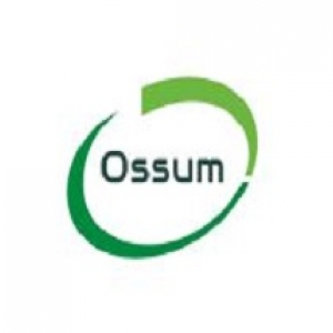 Ossum Technology-Freelancer in Nagpur,India
