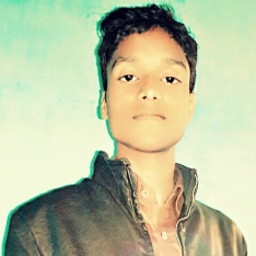 Ankur Raj Ankur-Freelancer in Darbhanga,India