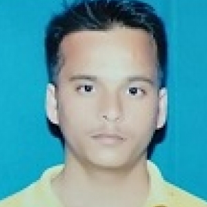 Navin Kumar Chaubey-Freelancer in Mahendragarh,India