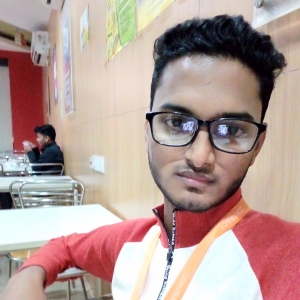 Suhail Ansari-Freelancer in Pune,India