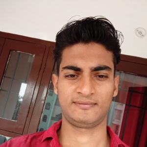 Kush Kumar-Freelancer in Patna,India