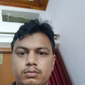 Pravin Jangid-Freelancer in Hyderabad, jaipur,India