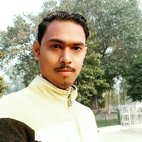 Brijender Kumar Yadav-Freelancer in ,India