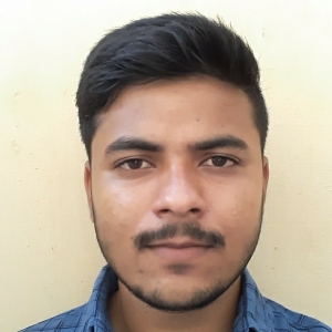 Akhilesh Jaiswal-Freelancer in Bilimora,India