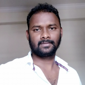 Nagaraju Palle-Freelancer in Hyderabad,India