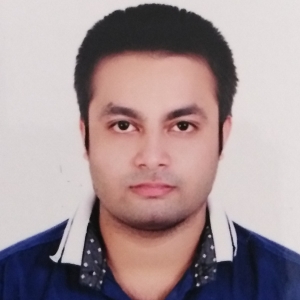 Nilesh Barik-Freelancer in ,India