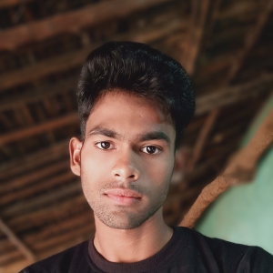 Raja Soni-Freelancer in Seoni,India