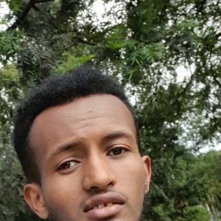 Berhanu Lamesa-Freelancer in Addis Ababa,Ethiopia