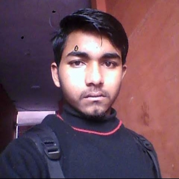 Ravi Pal-Freelancer in Meerut,India
