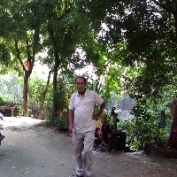 Ramakant Pandey-Freelancer in ,India